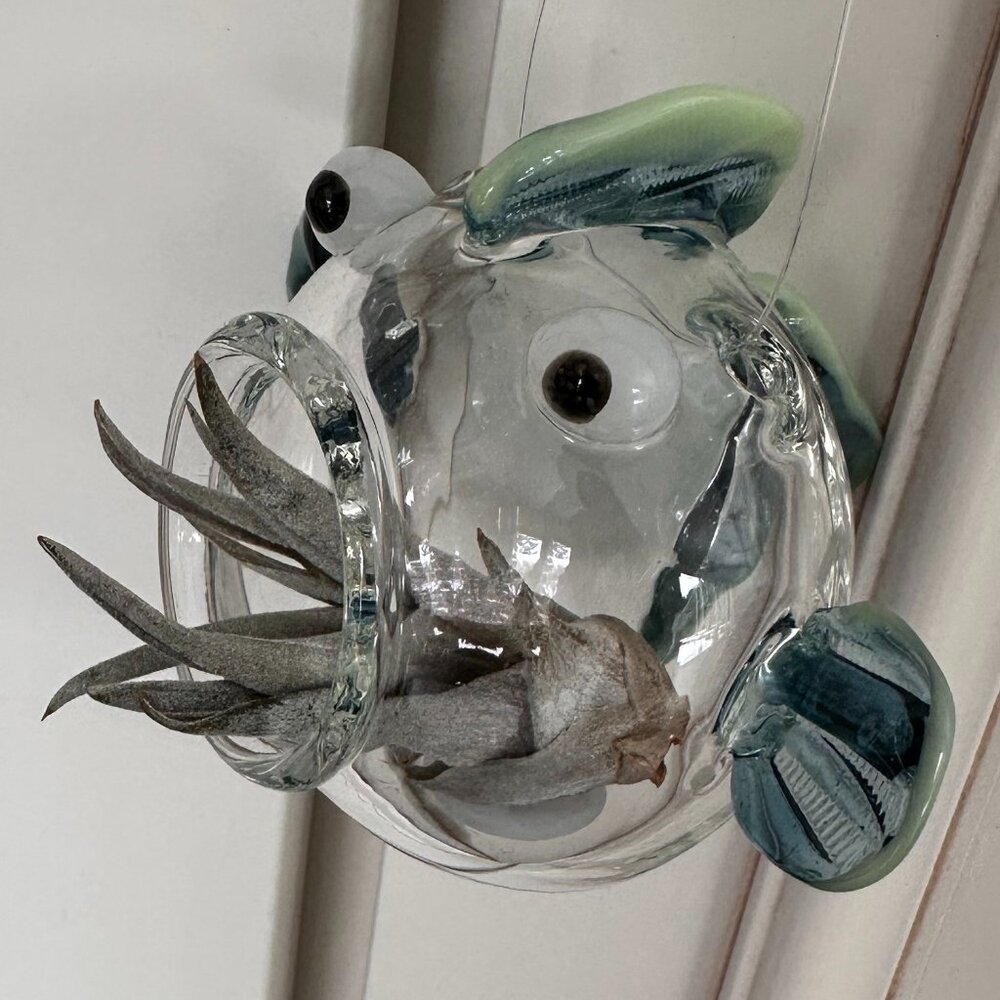 Blown Glass Fish Terrarium